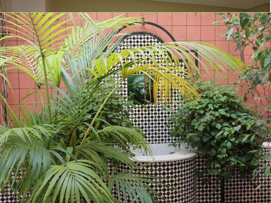 Écija Hotel Plateria מראה פנימי תמונה